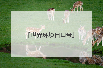 世界环境日口号