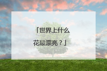 世界上什么花最漂亮？