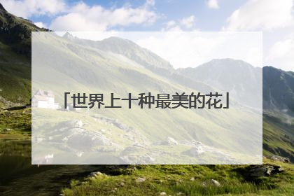 世界上十种最美的花