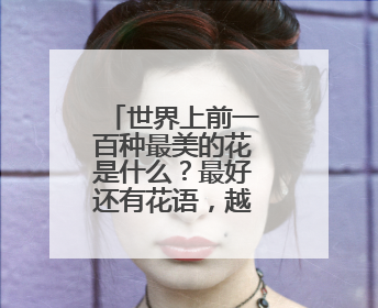 世界上前一百种最美的花是什么？最好还有花语，越详细越好