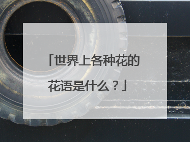 世界上各种花的花语是什么?