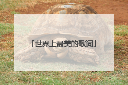 世界上最美的歌词
