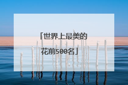 世界上最美的花前500名