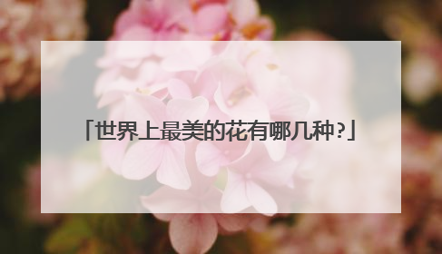 世界上最美的花有哪几种?
