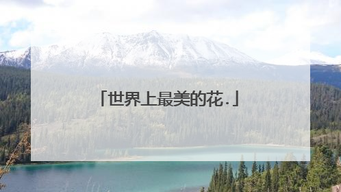 世界上最美的花.