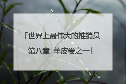 世界上最伟大的推销员 第八章 羊皮卷之一