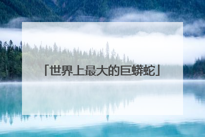 世界上最大的巨蟒蛇