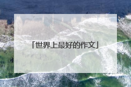 世界上最好的作文