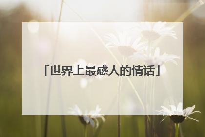 世界上最感人的情话