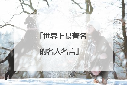 世界上最著名的名人名言