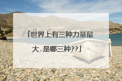 世界上有三种力量最大.是哪三种??