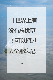 世界上有没有忘忧草!可以把过去全部忘记