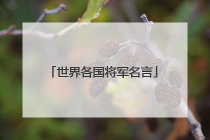 世界各国将军名言