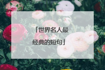 世界名人最经典的短句