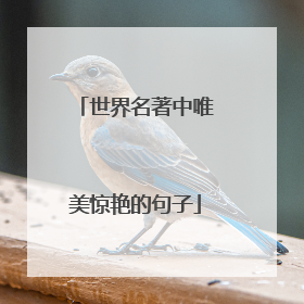 世界名著中唯美惊艳的句子