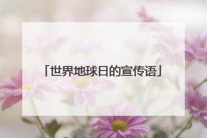 世界地球日的宣传语