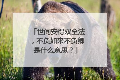 世间安得双全法，不负如来不负卿是什么意思？