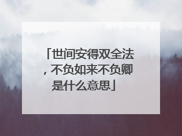 世间安得双全法，不负如来不负卿是什么意思