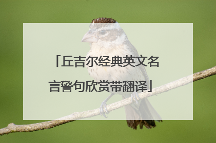 丘吉尔经典英文名言警句欣赏带翻译