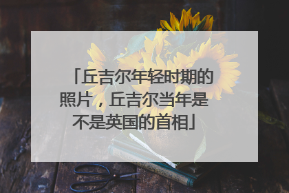 丘吉尔年轻时期的照片，丘吉尔当年是不是英国的首相