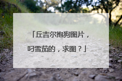 丘吉尔抱狗图片，叼雪茄的，求图？