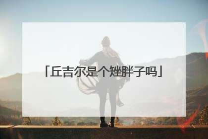 丘吉尔是个矬胖子吗