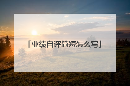 业绩自评简短怎么写