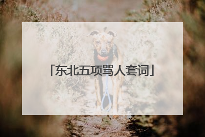 东北五项骂人套词