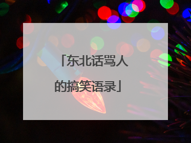 东北话骂人的搞笑语录