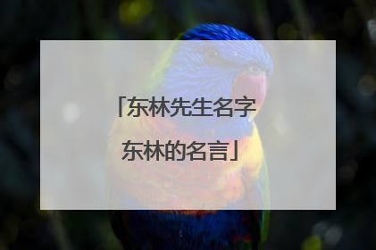 东林先生名字 东林的名言