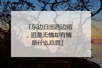 东边日出西边雨，道是无情却有情是什么意思