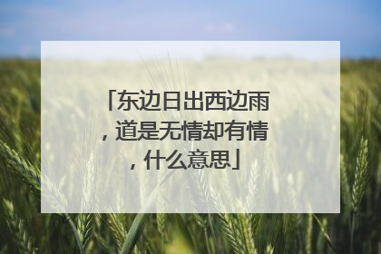 东边日出西边雨，道是无情却有情，什么意思