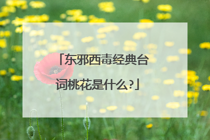 东邪西毒经典台词桃花是什么?