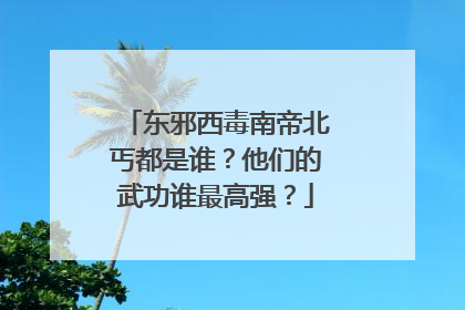 东邪西毒南帝北丐都是谁？他们的武功谁最高强？