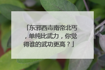 东邪西毒南帝北丐,单纯比武力,你觉得谁的武功更高?
