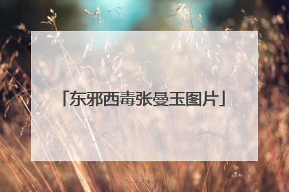 东邪西毒张曼玉图片