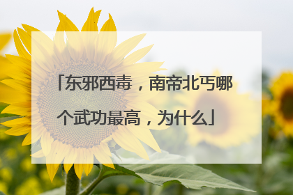 东邪西毒，南帝北丐哪个武功最高，为什么