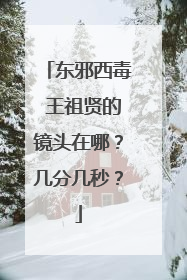 东邪西毒 王祖贤的镜头在哪?几分几秒?