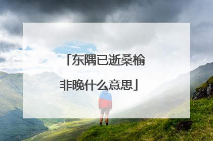 东隅已逝桑榆非晚什么意思