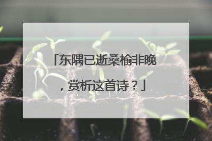 东隅已逝桑榆非晚，赏析这首诗？