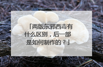 两版东邪西毒有什么区别，后一部是如何制作的？