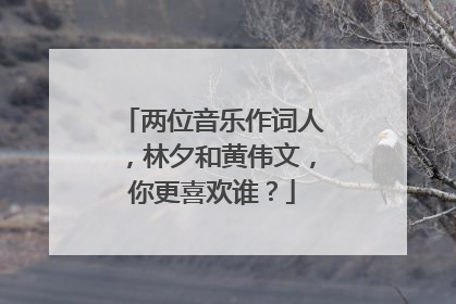 两位音乐作词人,林夕和黄伟文,你更喜欢谁?