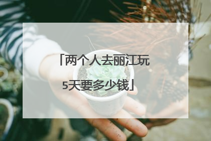 两个人去丽江玩5天要多少钱