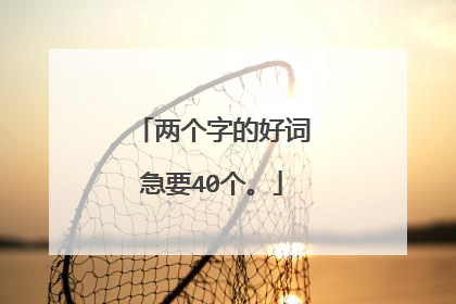两个字的好词急要40个。