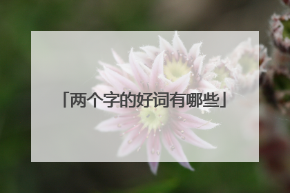 两个字的好词有哪些
