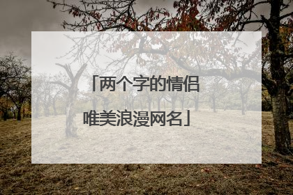 两个字的情侣唯美浪漫网名