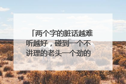 两个字的脏话越难听越好，碰到一个不讲理的老头一个劲的骂我，我不知