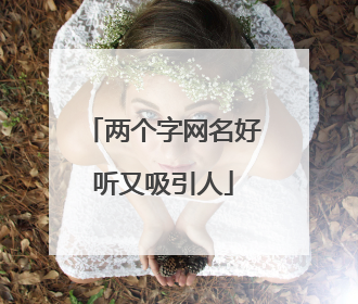 两个字网名好听又吸引人