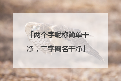 两个字昵称简单干净,二字网名干净