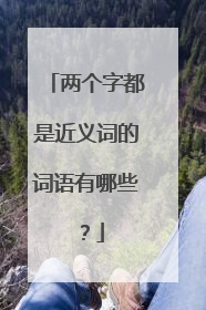 两个字都是近义词的词语有哪些?
